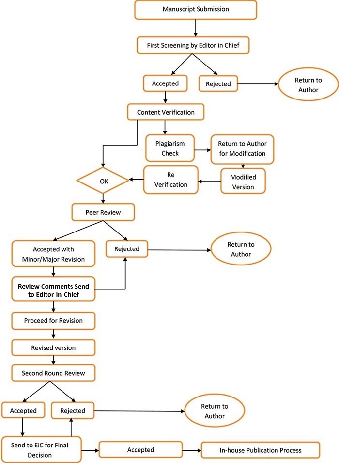 peer review process
